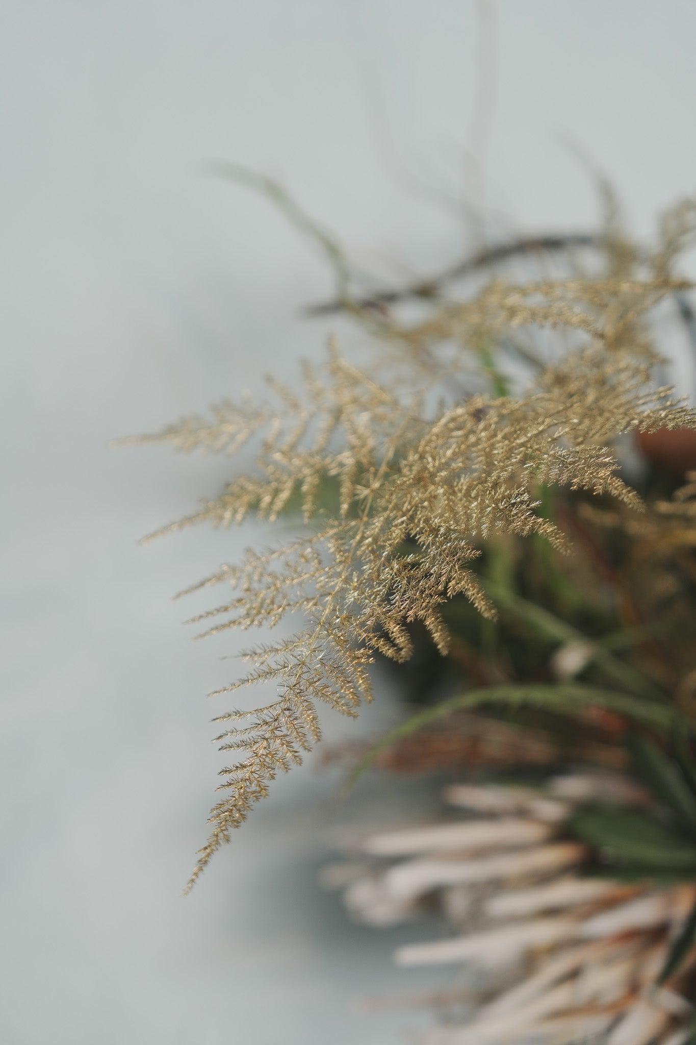 星期綠客製化注連繩しめなわ